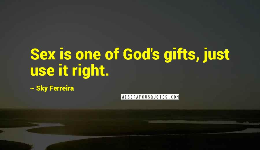 Sky Ferreira Quotes: Sex is one of God's gifts, just use it right.