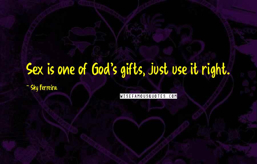 Sky Ferreira Quotes: Sex is one of God's gifts, just use it right.