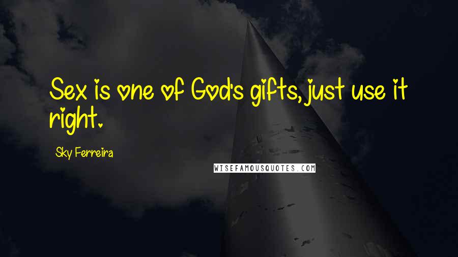 Sky Ferreira Quotes: Sex is one of God's gifts, just use it right.