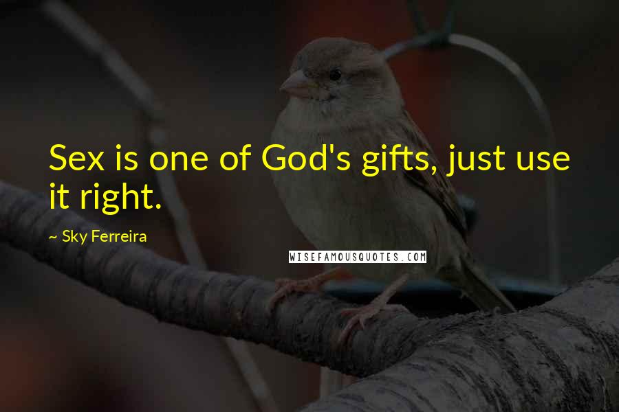 Sky Ferreira Quotes: Sex is one of God's gifts, just use it right.