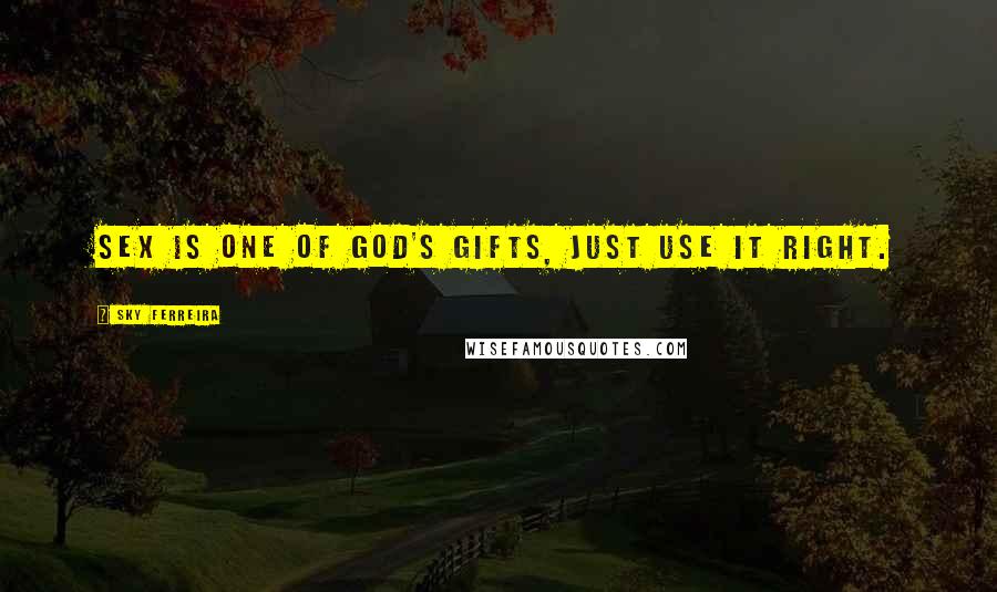 Sky Ferreira Quotes: Sex is one of God's gifts, just use it right.