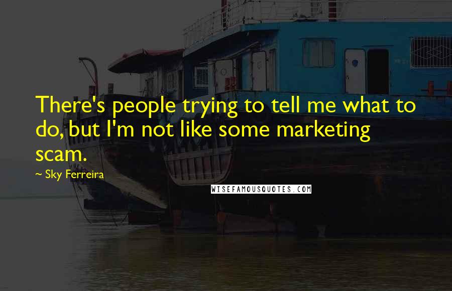 Sky Ferreira Quotes: There's people trying to tell me what to do, but I'm not like some marketing scam.