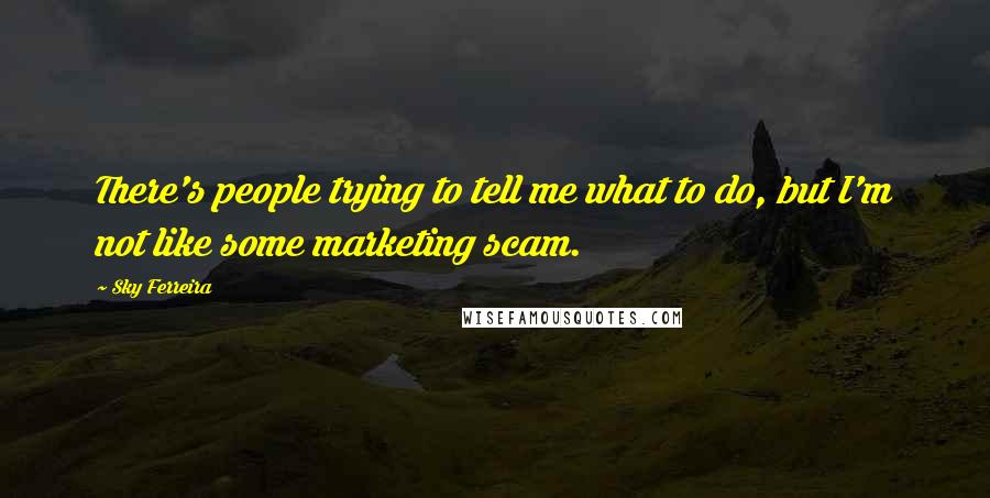 Sky Ferreira Quotes: There's people trying to tell me what to do, but I'm not like some marketing scam.