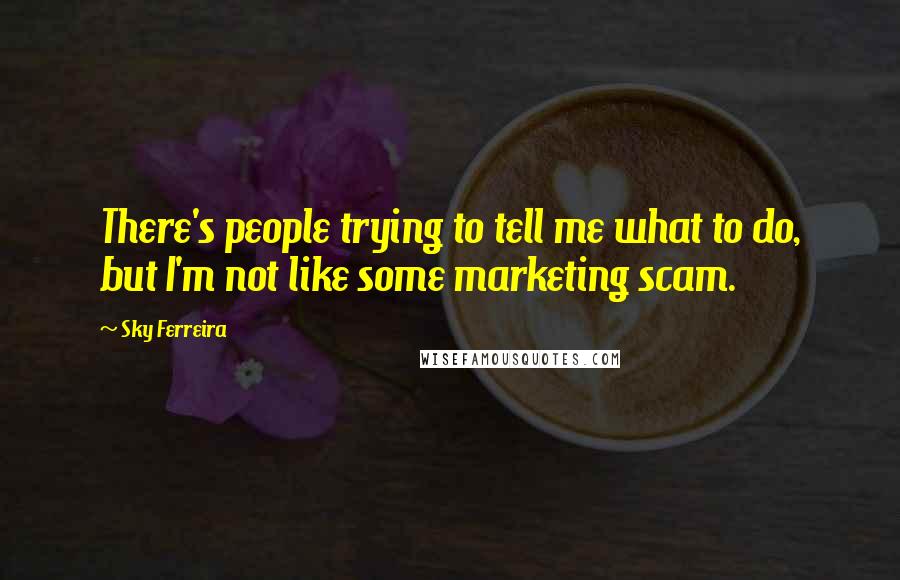 Sky Ferreira Quotes: There's people trying to tell me what to do, but I'm not like some marketing scam.