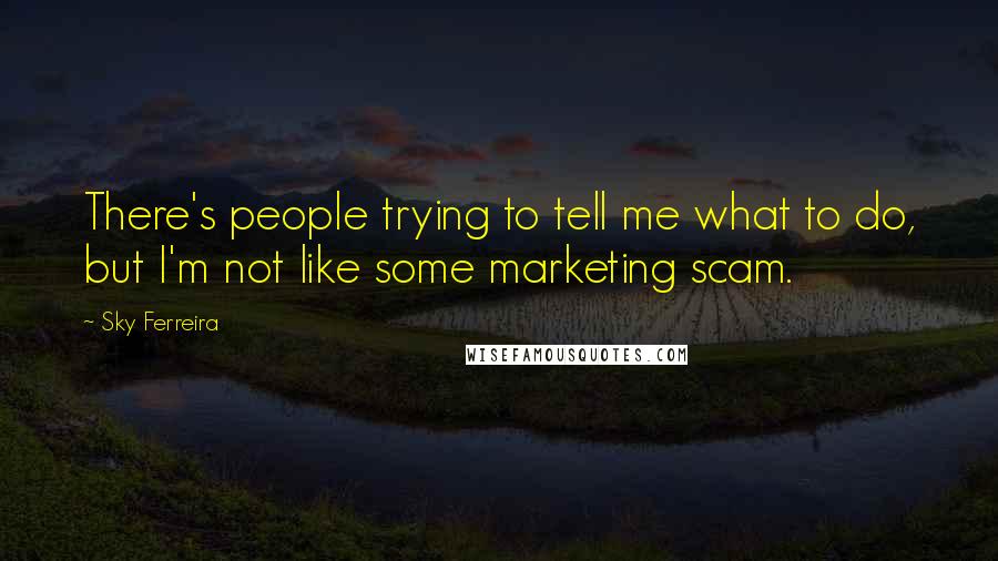 Sky Ferreira Quotes: There's people trying to tell me what to do, but I'm not like some marketing scam.