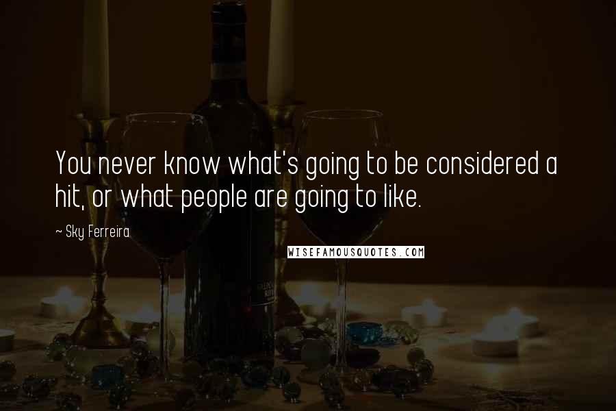 Sky Ferreira Quotes: You never know what's going to be considered a hit, or what people are going to like.