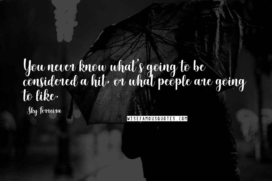 Sky Ferreira Quotes: You never know what's going to be considered a hit, or what people are going to like.