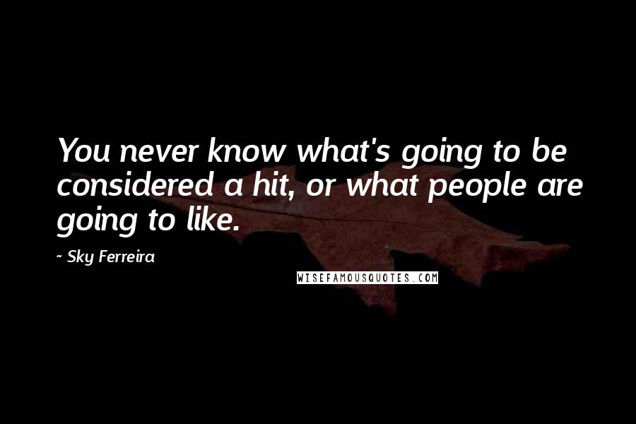 Sky Ferreira Quotes: You never know what's going to be considered a hit, or what people are going to like.