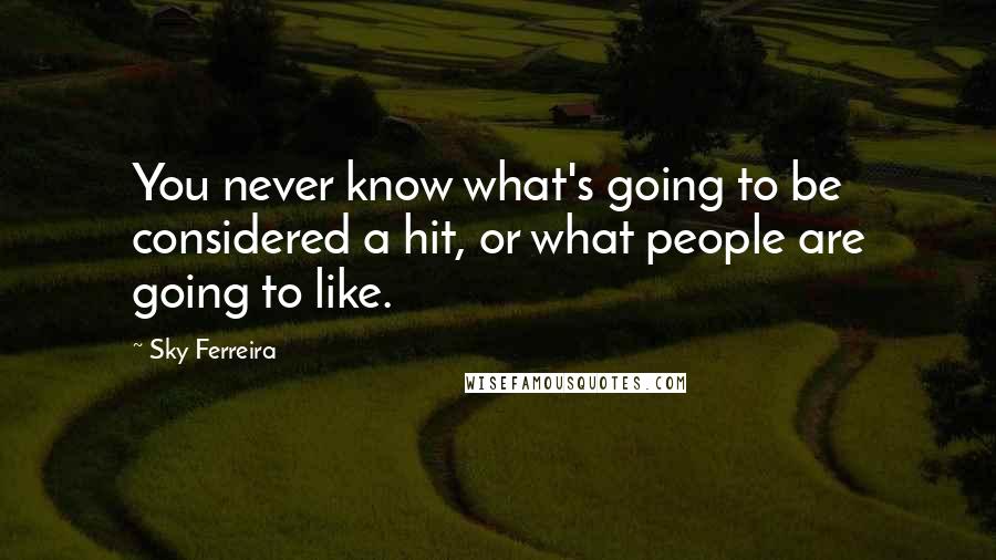 Sky Ferreira Quotes: You never know what's going to be considered a hit, or what people are going to like.