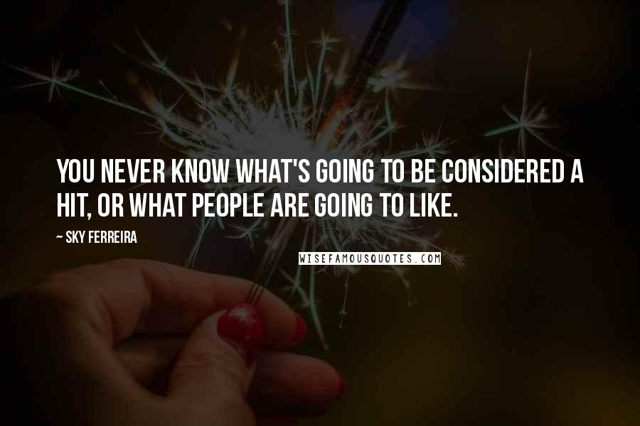 Sky Ferreira Quotes: You never know what's going to be considered a hit, or what people are going to like.