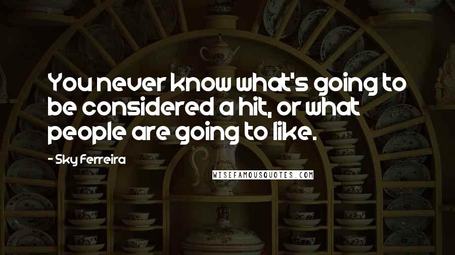 Sky Ferreira Quotes: You never know what's going to be considered a hit, or what people are going to like.