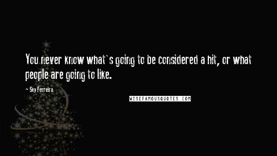 Sky Ferreira Quotes: You never know what's going to be considered a hit, or what people are going to like.