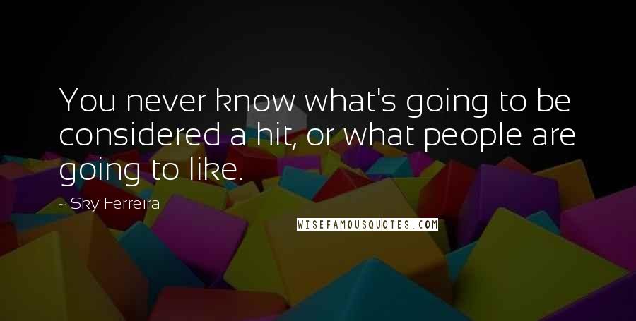 Sky Ferreira Quotes: You never know what's going to be considered a hit, or what people are going to like.