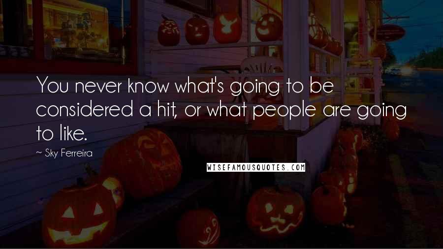 Sky Ferreira Quotes: You never know what's going to be considered a hit, or what people are going to like.