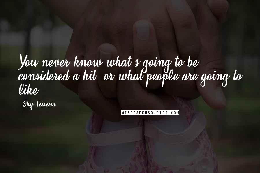 Sky Ferreira Quotes: You never know what's going to be considered a hit, or what people are going to like.