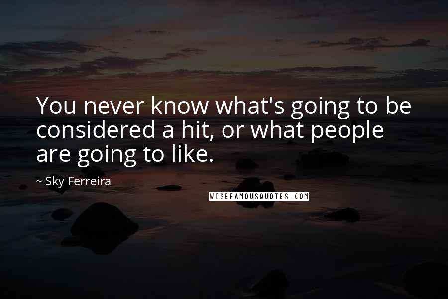 Sky Ferreira Quotes: You never know what's going to be considered a hit, or what people are going to like.