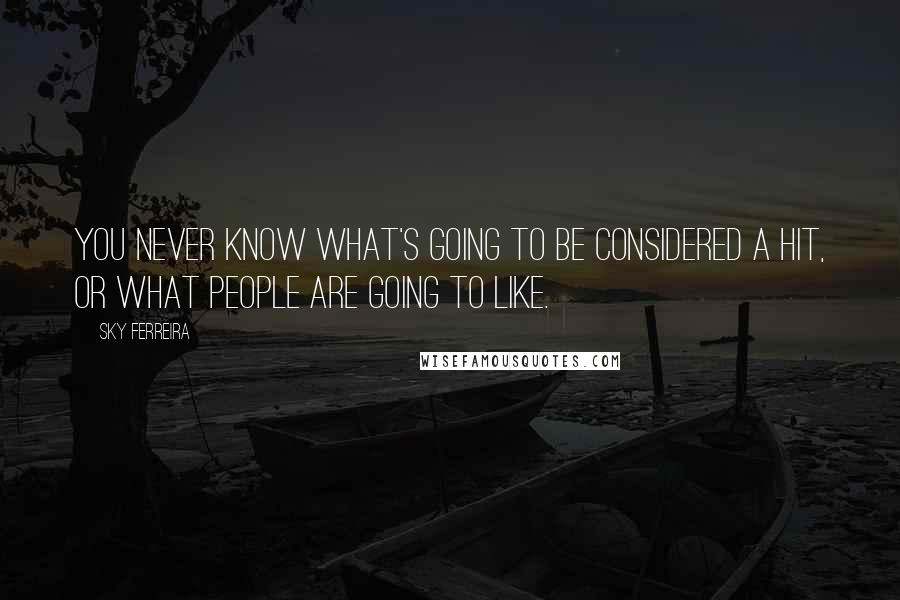 Sky Ferreira Quotes: You never know what's going to be considered a hit, or what people are going to like.