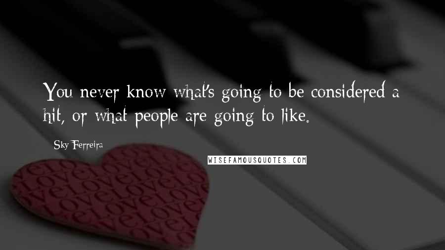 Sky Ferreira Quotes: You never know what's going to be considered a hit, or what people are going to like.