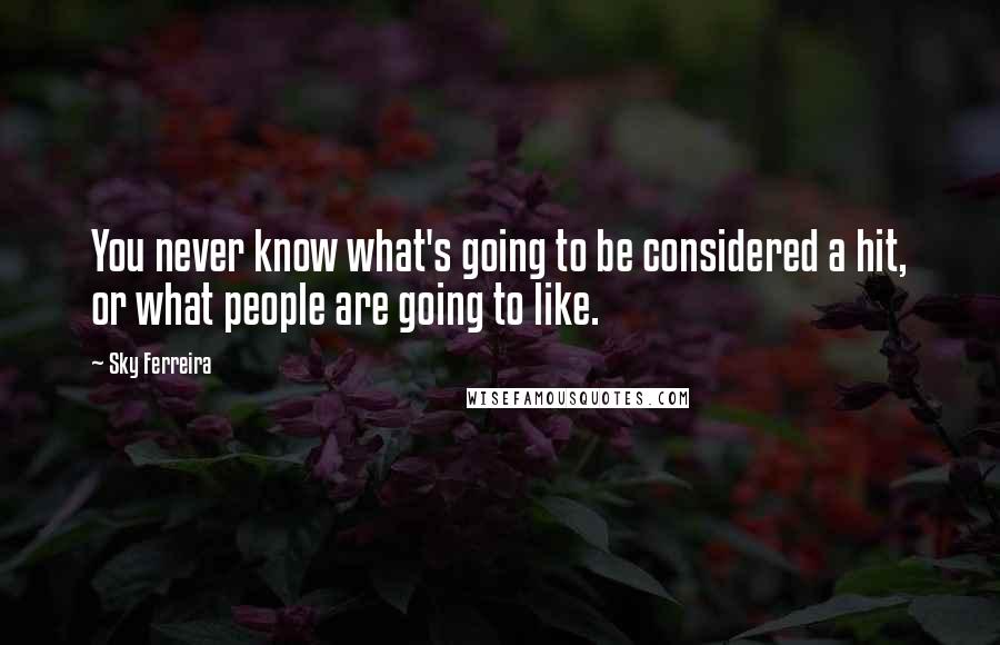 Sky Ferreira Quotes: You never know what's going to be considered a hit, or what people are going to like.