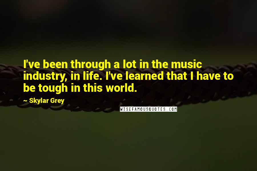 Skylar Grey Quotes: I've been through a lot in the music industry, in life. I've learned that I have to be tough in this world.