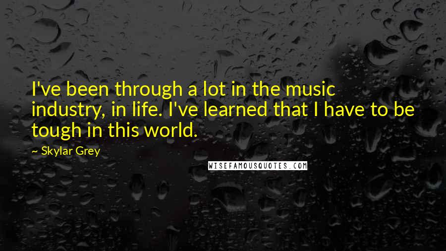 Skylar Grey Quotes: I've been through a lot in the music industry, in life. I've learned that I have to be tough in this world.