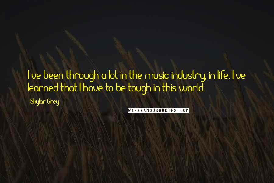 Skylar Grey Quotes: I've been through a lot in the music industry, in life. I've learned that I have to be tough in this world.