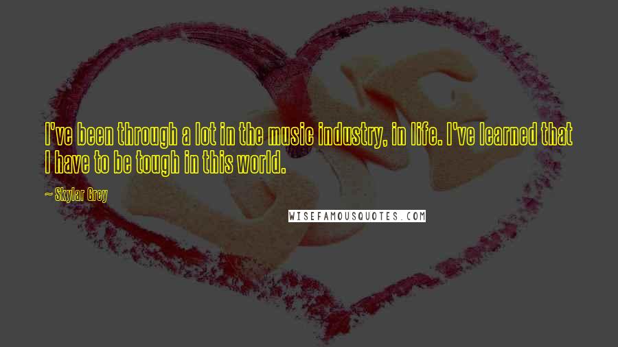 Skylar Grey Quotes: I've been through a lot in the music industry, in life. I've learned that I have to be tough in this world.
