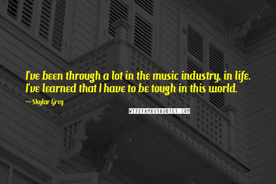 Skylar Grey Quotes: I've been through a lot in the music industry, in life. I've learned that I have to be tough in this world.