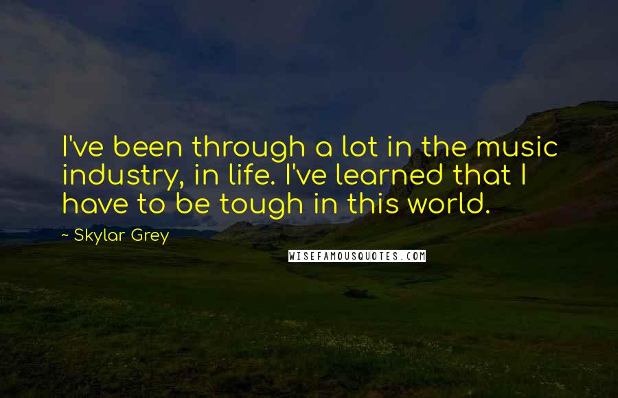 Skylar Grey Quotes: I've been through a lot in the music industry, in life. I've learned that I have to be tough in this world.