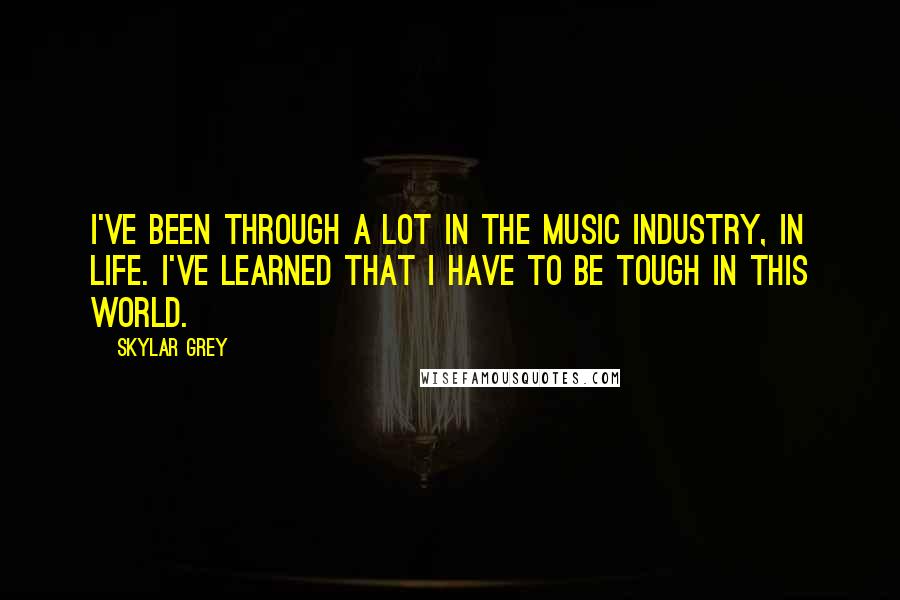 Skylar Grey Quotes: I've been through a lot in the music industry, in life. I've learned that I have to be tough in this world.