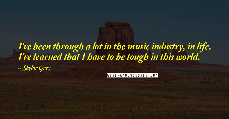 Skylar Grey Quotes: I've been through a lot in the music industry, in life. I've learned that I have to be tough in this world.