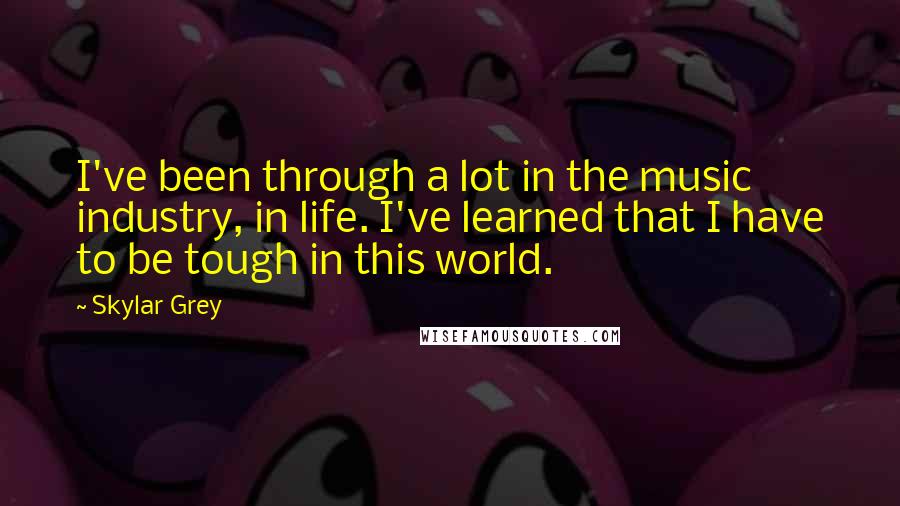 Skylar Grey Quotes: I've been through a lot in the music industry, in life. I've learned that I have to be tough in this world.