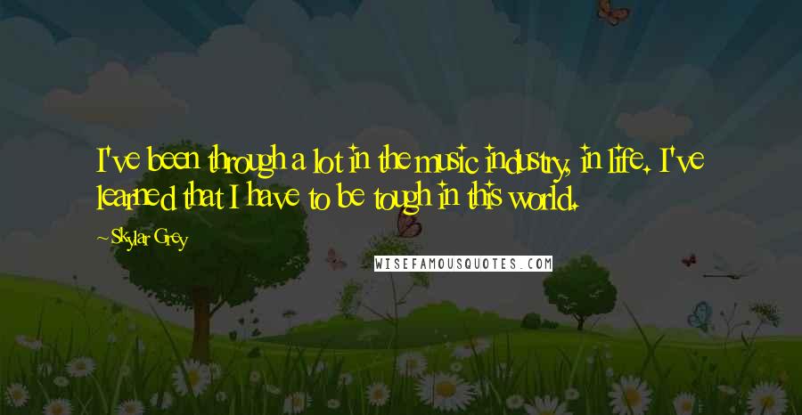 Skylar Grey Quotes: I've been through a lot in the music industry, in life. I've learned that I have to be tough in this world.