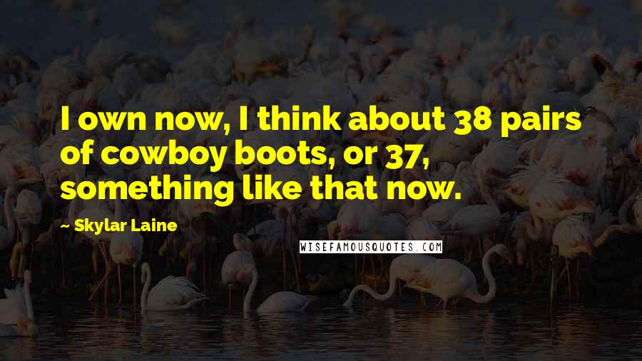 Skylar Laine Quotes: I own now, I think about 38 pairs of cowboy boots, or 37, something like that now.