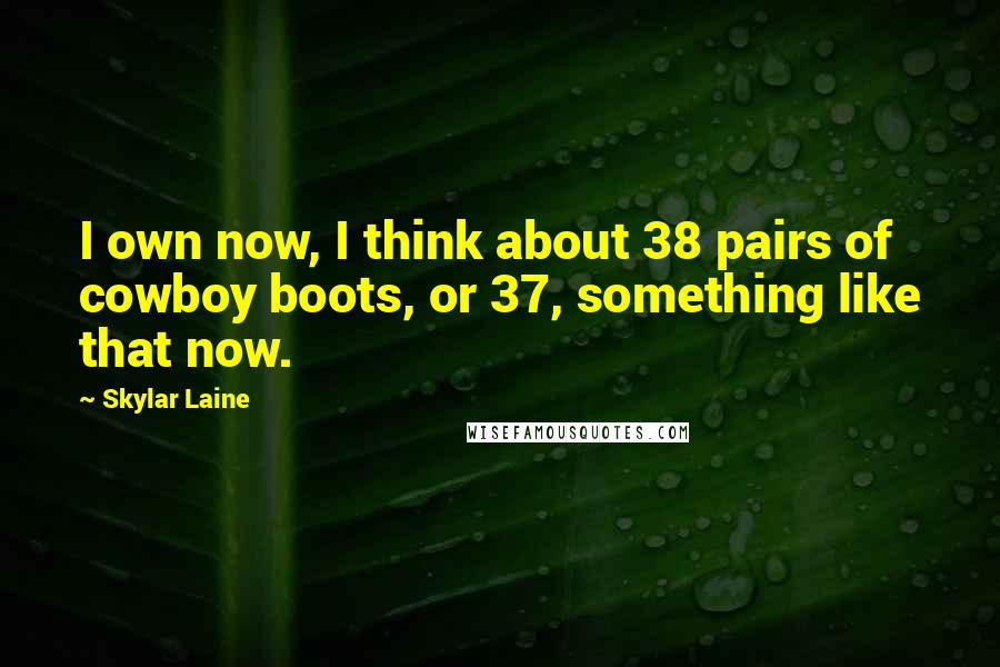 Skylar Laine Quotes: I own now, I think about 38 pairs of cowboy boots, or 37, something like that now.
