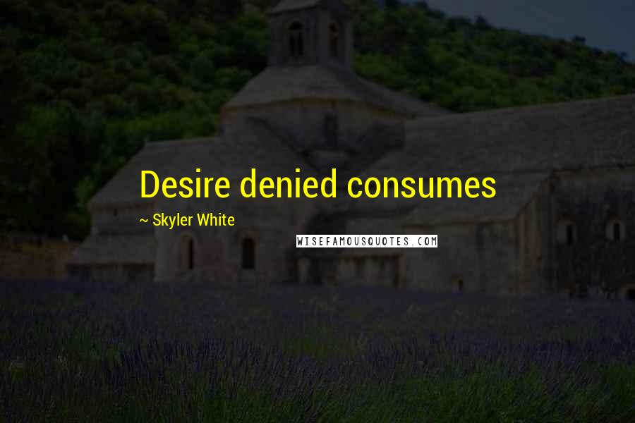 Skyler White Quotes: Desire denied consumes