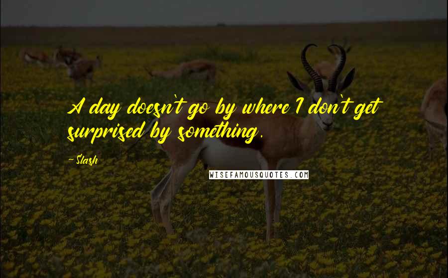 Slash Quotes: A day doesn't go by where I don't get surprised by something.