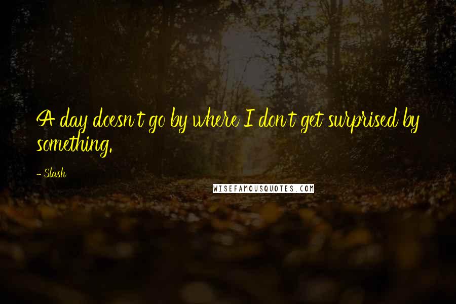 Slash Quotes: A day doesn't go by where I don't get surprised by something.