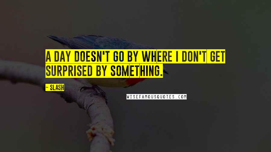 Slash Quotes: A day doesn't go by where I don't get surprised by something.