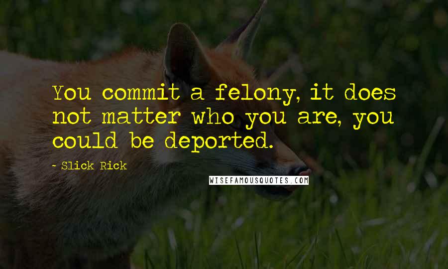 Slick Rick Quotes: You commit a felony, it does not matter who you are, you could be deported.