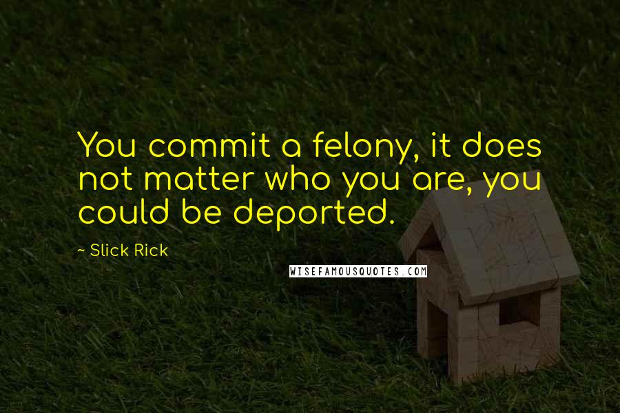 Slick Rick Quotes: You commit a felony, it does not matter who you are, you could be deported.