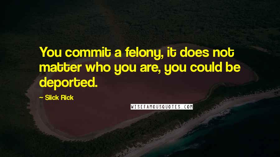 Slick Rick Quotes: You commit a felony, it does not matter who you are, you could be deported.