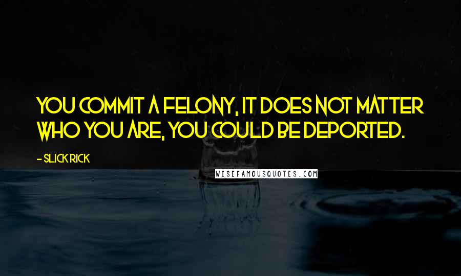 Slick Rick Quotes: You commit a felony, it does not matter who you are, you could be deported.