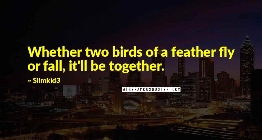 Slimkid3 Quotes: Whether two birds of a feather fly or fall, it'll be together.