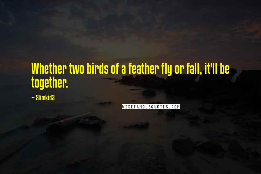 Slimkid3 Quotes: Whether two birds of a feather fly or fall, it'll be together.