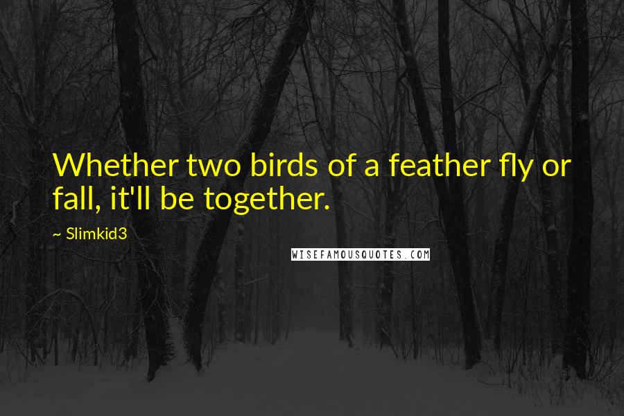 Slimkid3 Quotes: Whether two birds of a feather fly or fall, it'll be together.