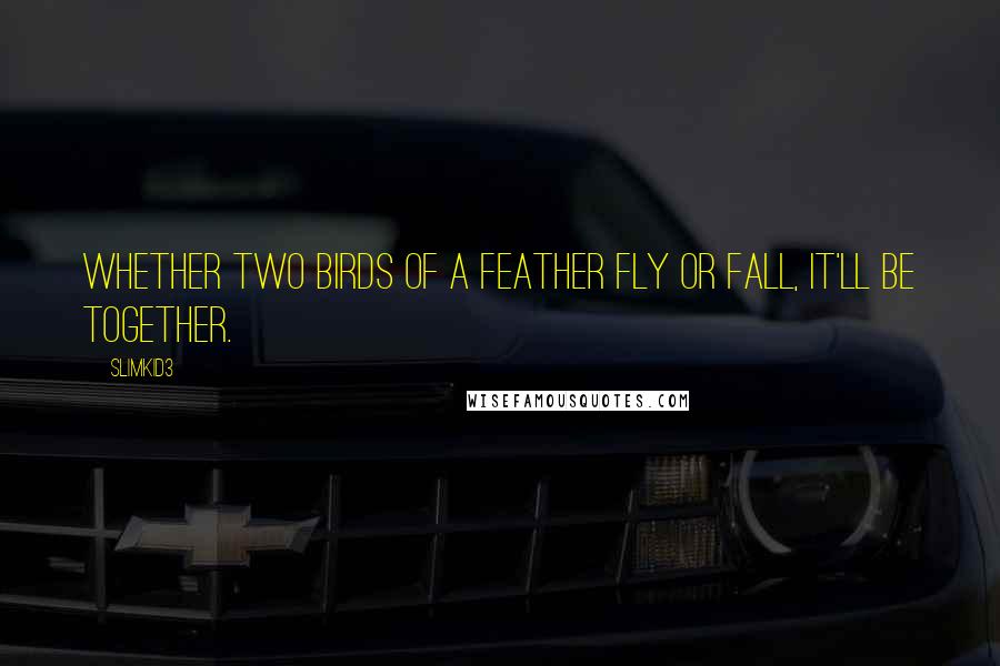 Slimkid3 Quotes: Whether two birds of a feather fly or fall, it'll be together.