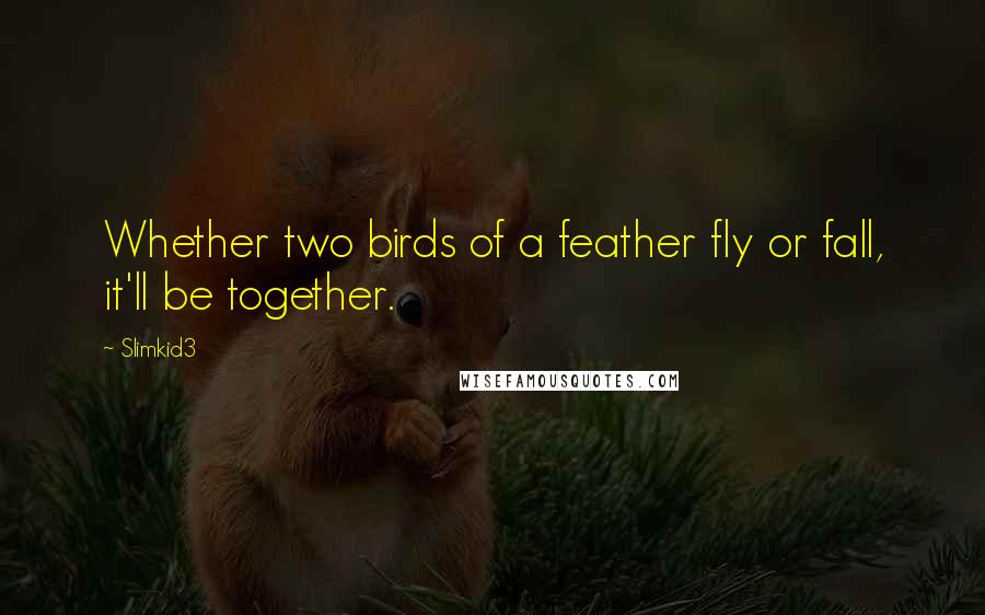 Slimkid3 Quotes: Whether two birds of a feather fly or fall, it'll be together.