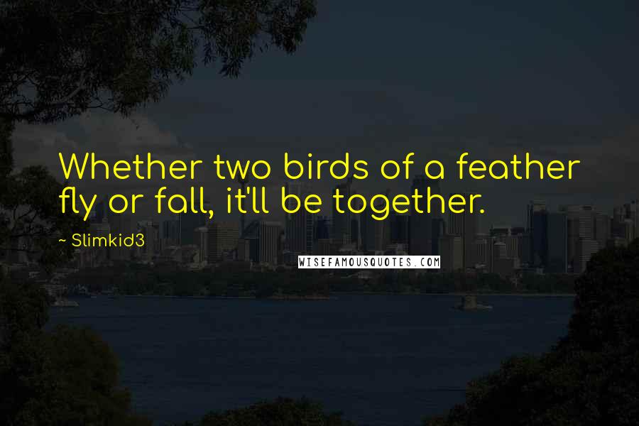 Slimkid3 Quotes: Whether two birds of a feather fly or fall, it'll be together.