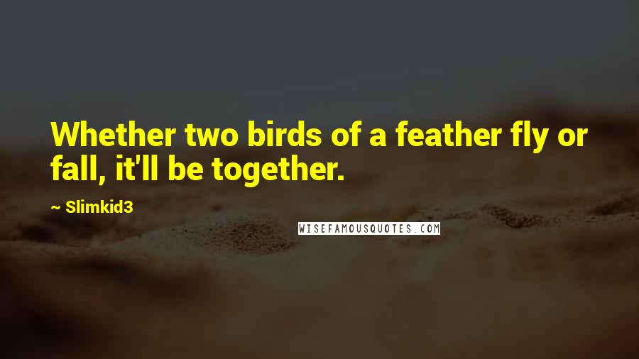 Slimkid3 Quotes: Whether two birds of a feather fly or fall, it'll be together.